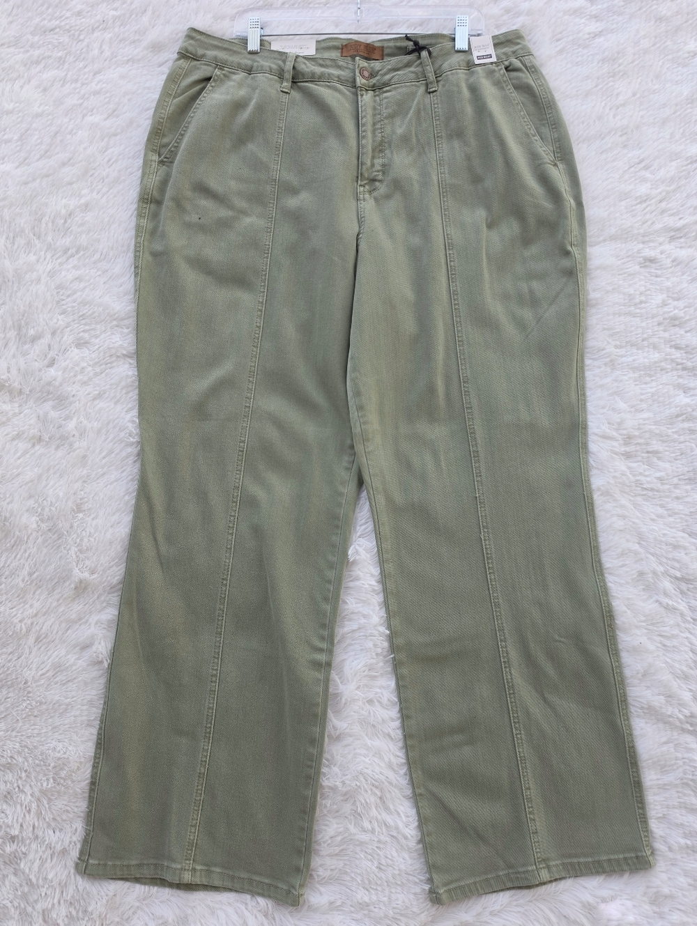 Judy Blue Stretch‎ Plus Size Front Seam Sage Straight Leg Jeans